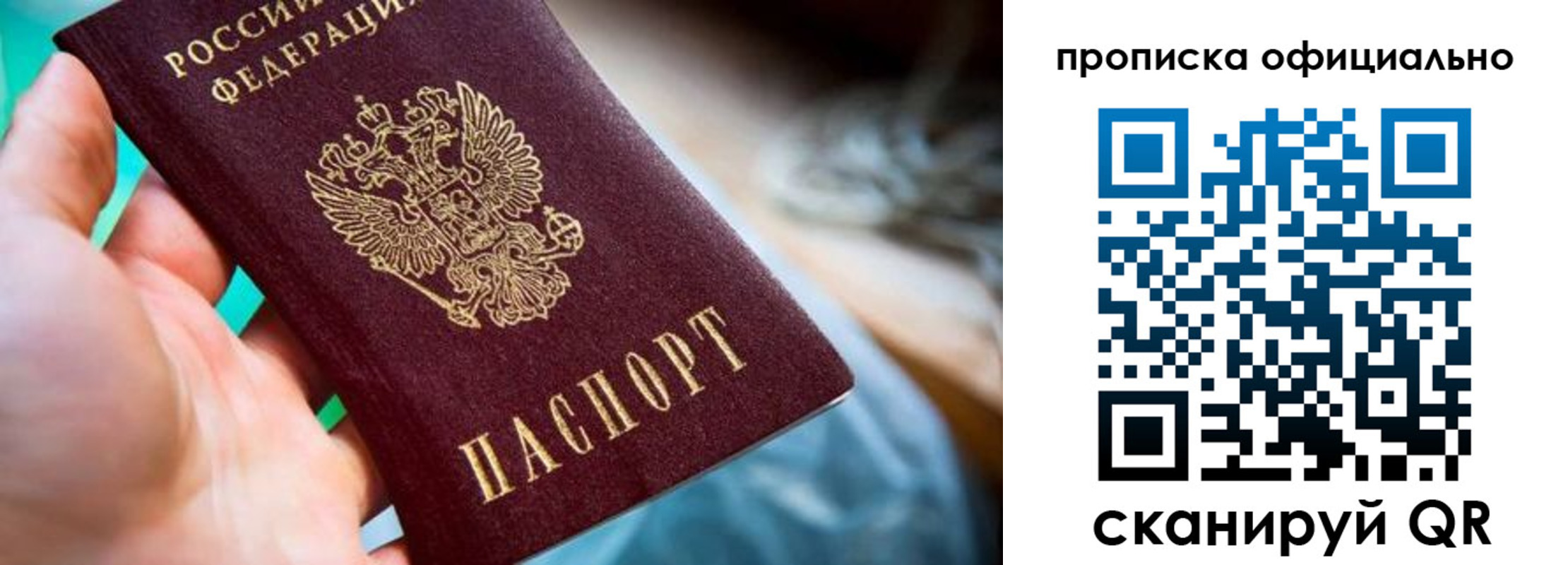 прописка поиск в Елизово